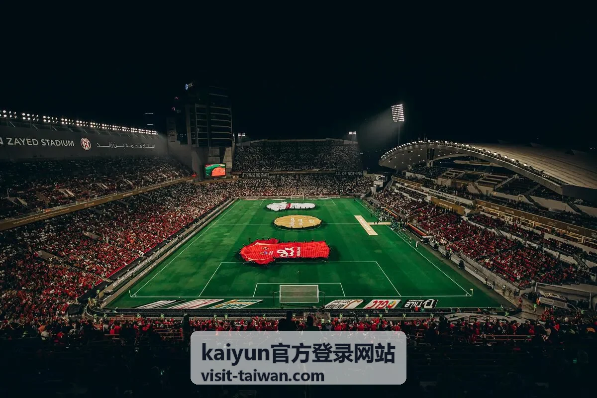 kaiyun官方登录网站 安全校验与验证码环节的操作示意